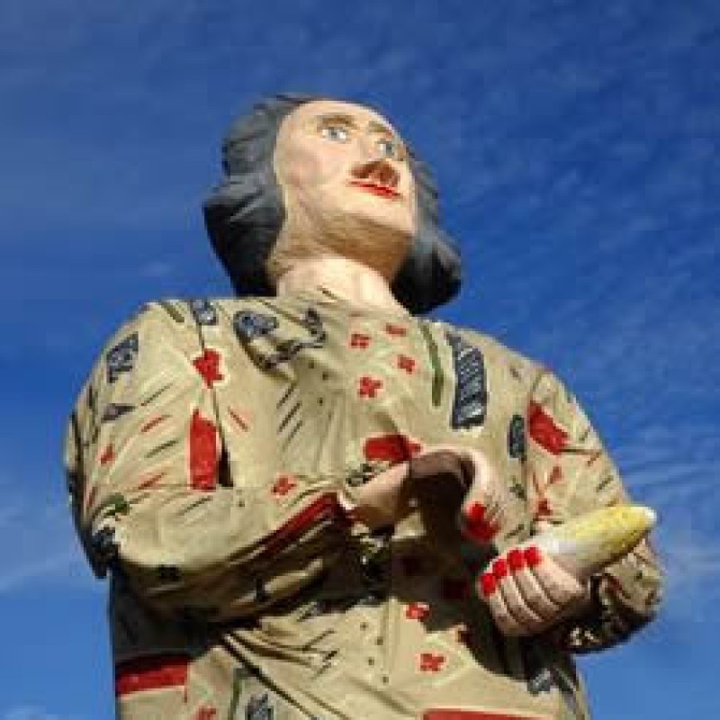 Wiske Witloof - Heemkring Ter Ham Steenokkerzeel 